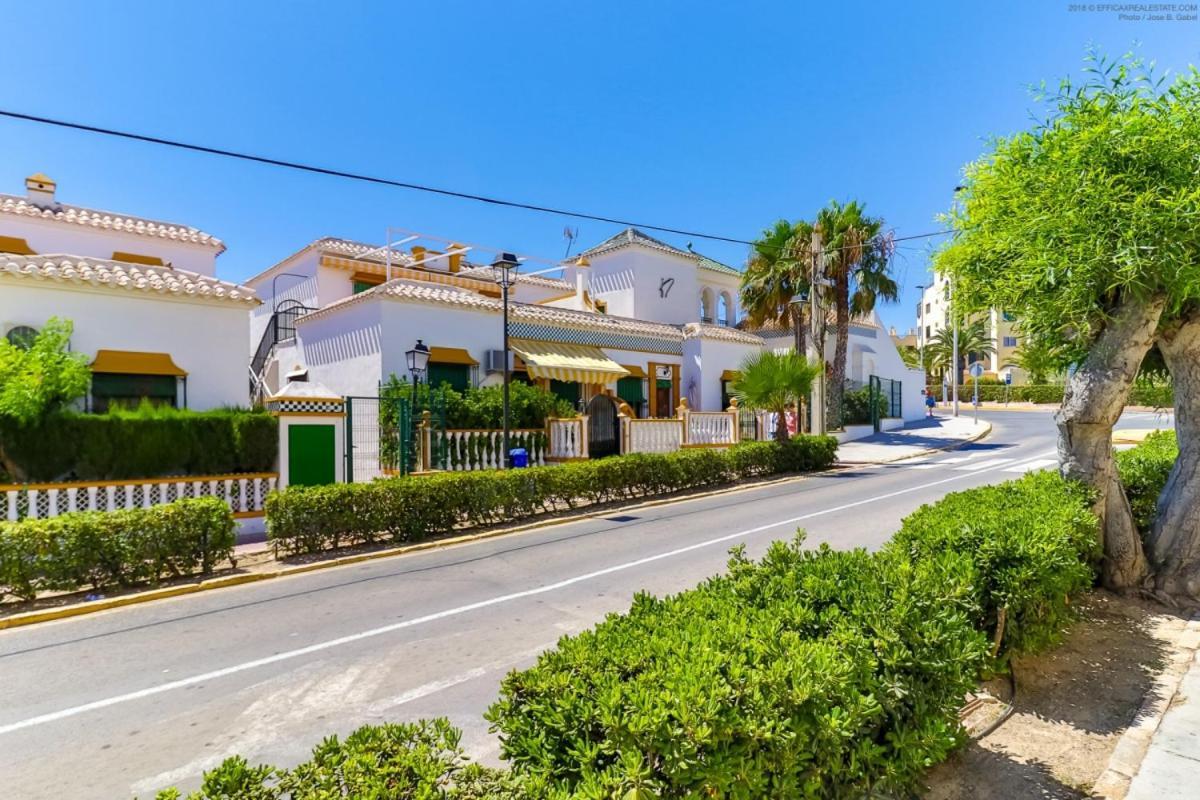 Casa Micha Daire Torrevieja Dış mekan fotoğraf