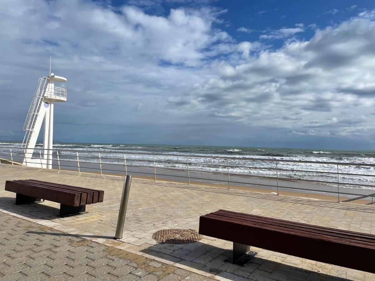 Casa Micha Daire Torrevieja Dış mekan fotoğraf